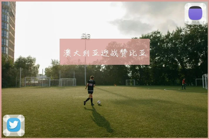 澳大利亚迎战赞比亚