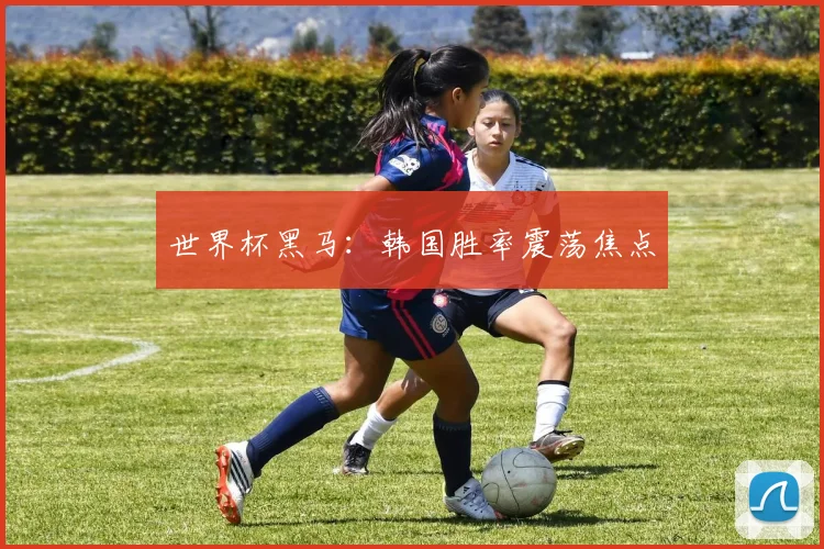 世界杯黑马：韩国胜率震荡焦点