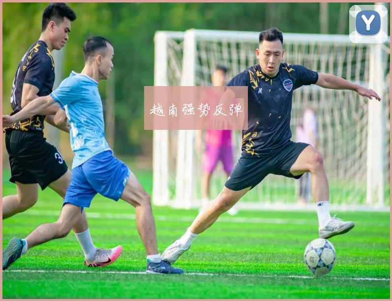 越南强势反弹