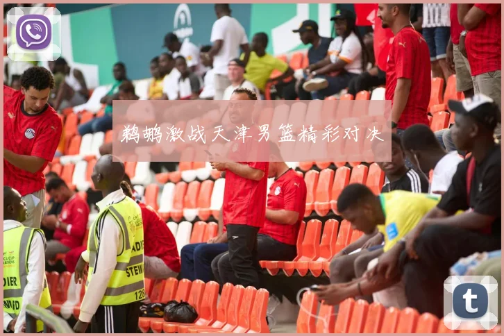 鹈鹕激战天津男篮精彩对决