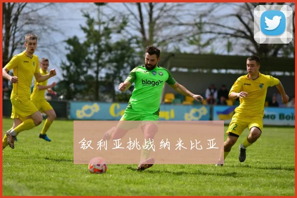 叙利亚挑战纳米比亚