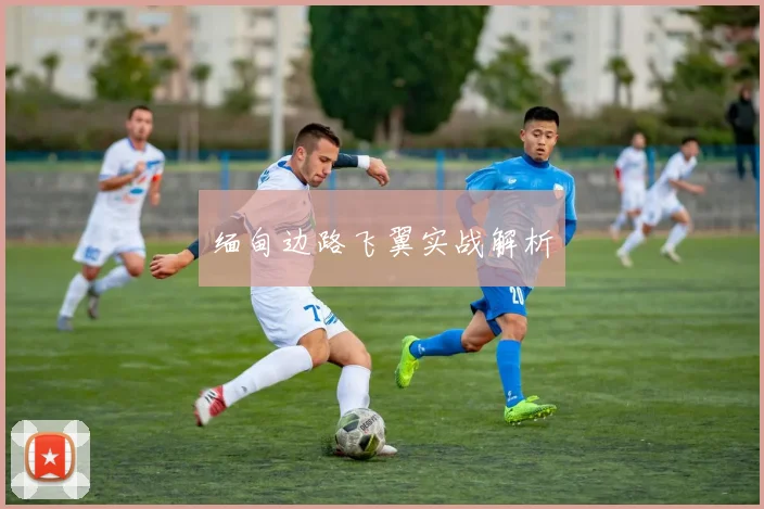 缅甸边路飞翼实战解析