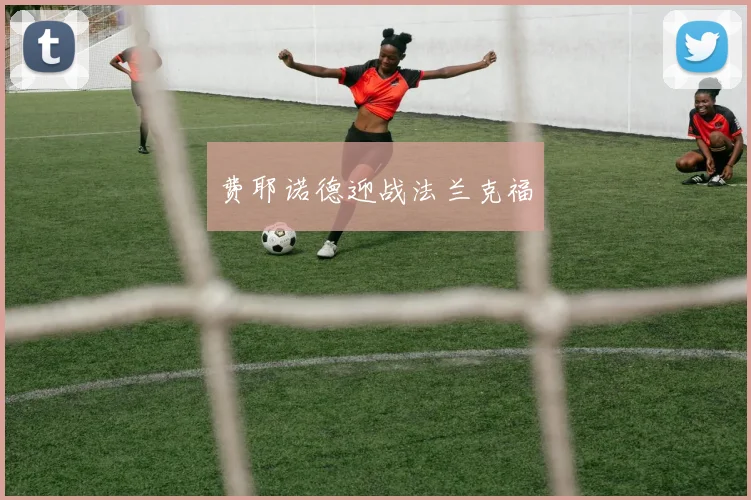 费耶诺德迎战法兰克福