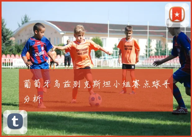葡萄牙乌兹别克斯坦小组赛点球手分析