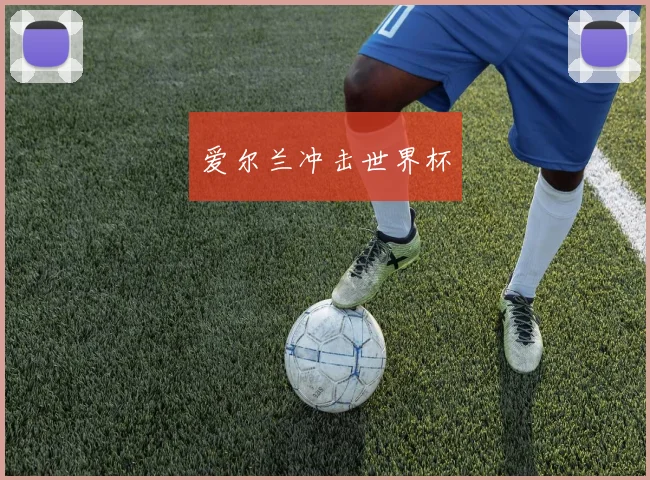 爱尔兰冲击世界杯