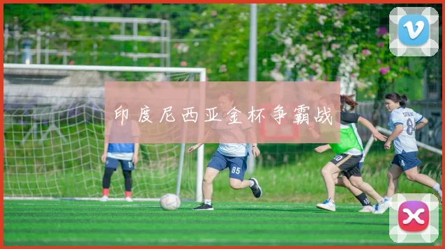 印度尼西亚金杯争霸战