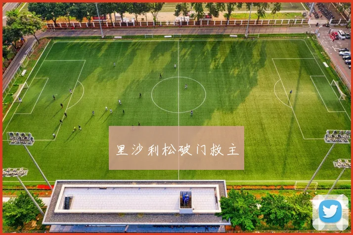 里沙利松破门救主