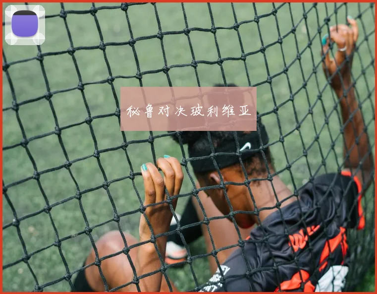 秘鲁对决玻利维亚