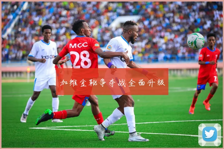 加维金靴争夺战全面升级