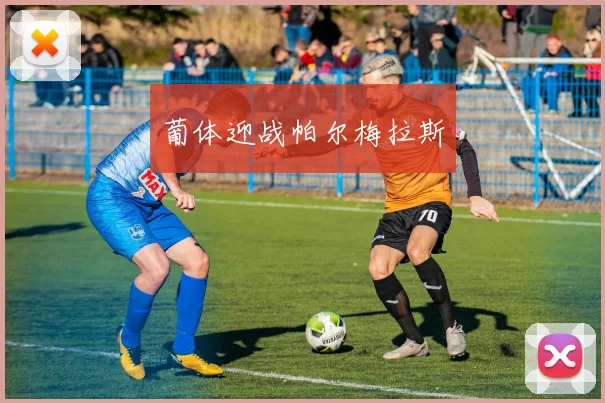 葡体迎战帕尔梅拉斯