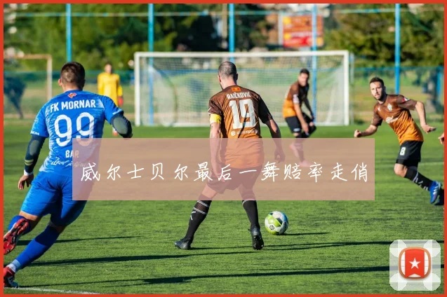 威尔士贝尔最后一舞赔率走俏