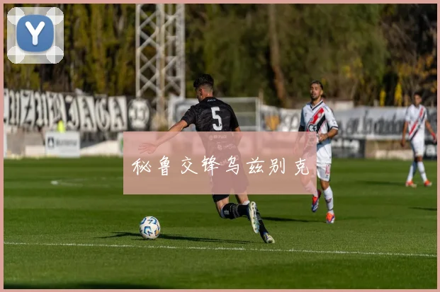 秘鲁交锋乌兹别克
