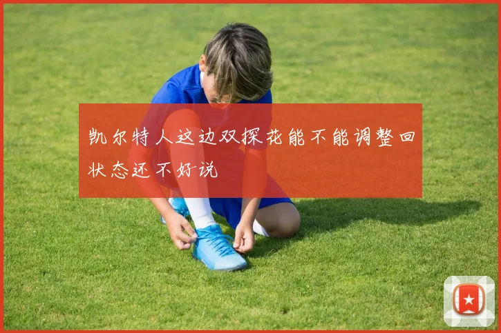 凯尔特人这边双探花能不能调整回状态还不好说