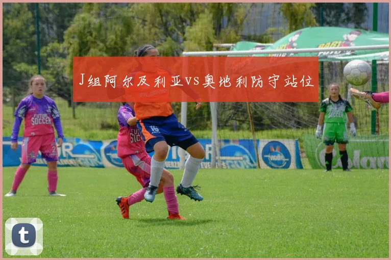 J组阿尔及利亚vs奥地利防守站位