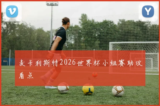 麦卡利斯特2026世界杯小组赛助攻看点