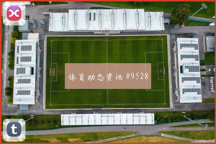6月25日日本vs瑞典关键战分析
