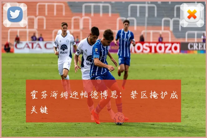 霍芬海姆迎帕德博恩：禁区掩护成关键