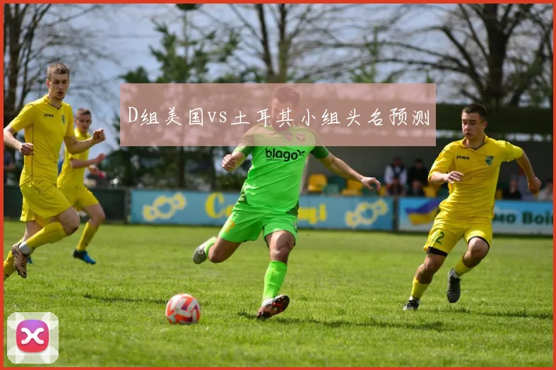 D组美国vs土耳其小组头名预测